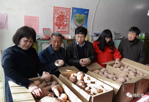 县商务中心创新举措 农产品‘五进’对接促销与围棋培训同步开展